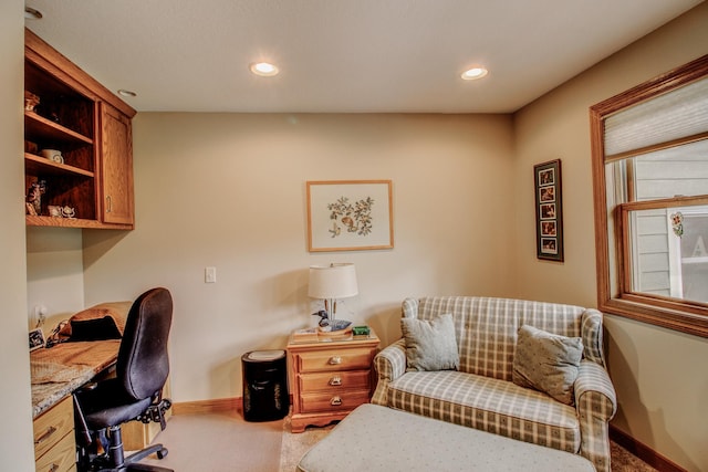 20929 Faron Dr, Nevis, MN 56467 - carpeted office space featuring baseboards and recessed lighting