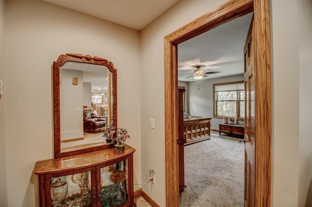 20929 Faron Dr, Nevis, MN 56467 - corridor with carpet and baseboards