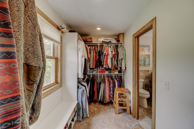 20929 Faron Dr, Nevis, MN 56467 - walk in closet with carpet flooring