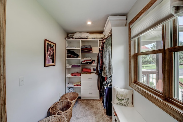 20929 Faron Dr, Nevis, MN 56467 - spacious closet with light carpet