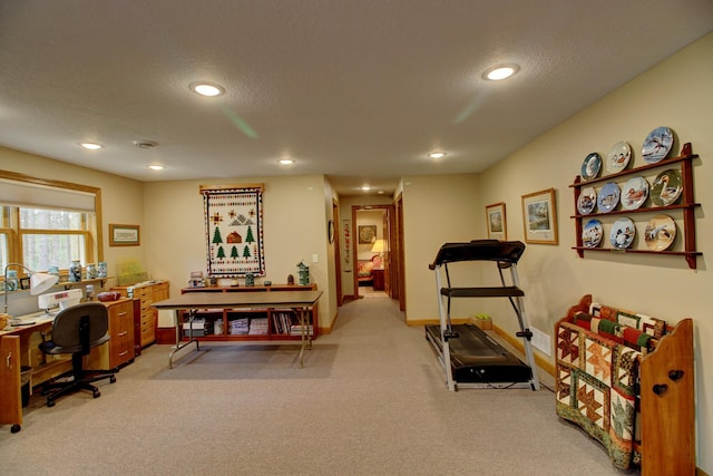 20929 Faron Dr, Nevis, MN 56467 - office area featuring carpet flooring, recessed lighting, baseboards, and a textured ceiling