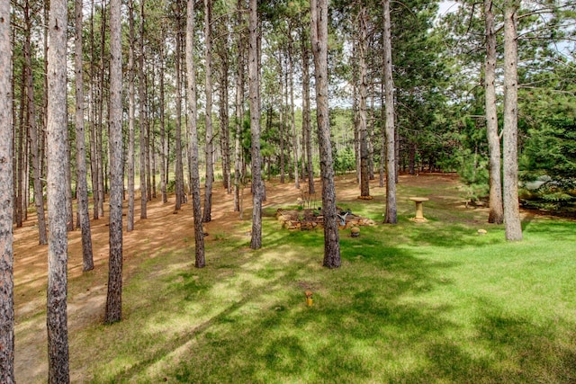 20929 Faron Dr, Nevis, MN 56467 - view of green lawn