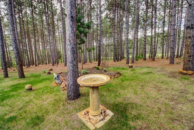 20929 Faron Dr, Nevis, MN 56467 - view of green lawn with a forest view