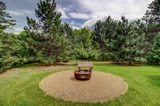 20929 Faron Dr, Nevis, MN 56467 - view of grassy yard