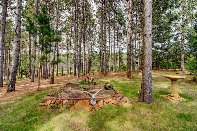 20929 Faron Dr, Nevis, MN 56467 - view of green lawn