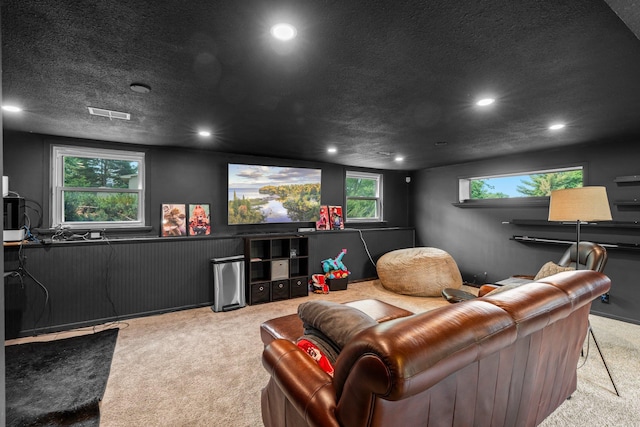 11411 Johnson Cir, Bloomington, MN 55437 - cinema featuring carpet, recessed lighting, and a textured ceiling