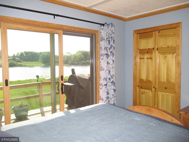 43639 351st Ln, Aitkin Twp, MN 56431 - bedroom featuring a water view and ornamental molding
