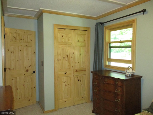43639 351st Ln, Aitkin Twp, MN 56431 - bedroom featuring ornamental molding and a closet