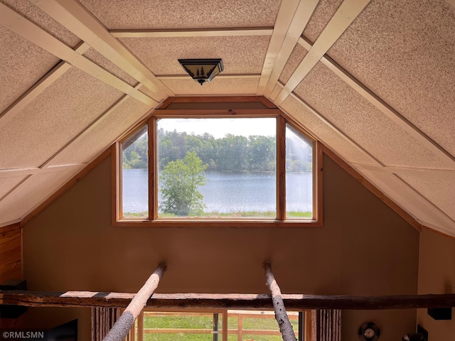 43639 351st Ln, Aitkin Twp, MN 56431 - bonus room with plenty of natural light, lofted ceiling, and a water view