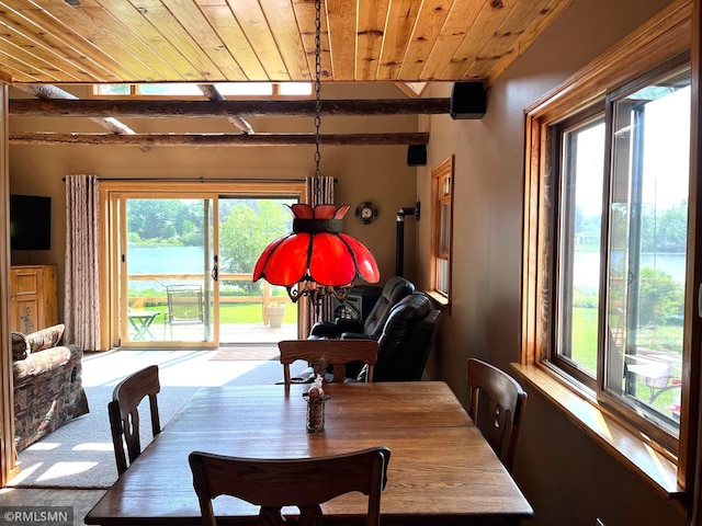 43639 351st Ln, Aitkin Twp, MN 56431 - dining space featuring wooden ceiling, healthy amount of natural light, carpet, and a water view