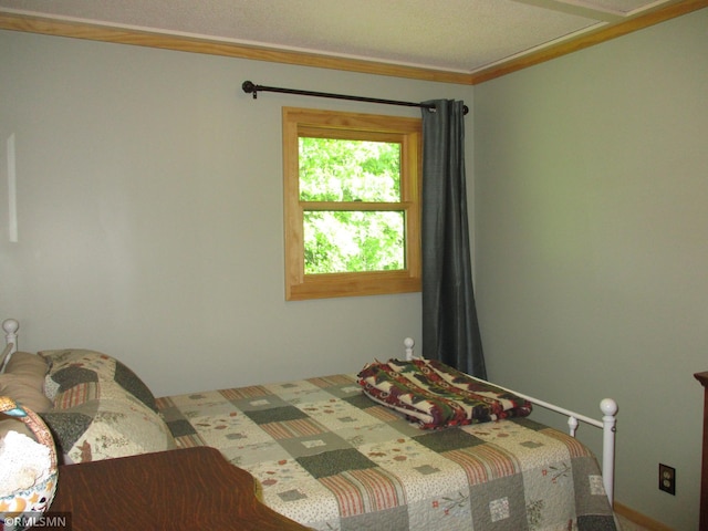 43639 351st Ln, Aitkin Twp, MN 56431 - bedroom with crown molding