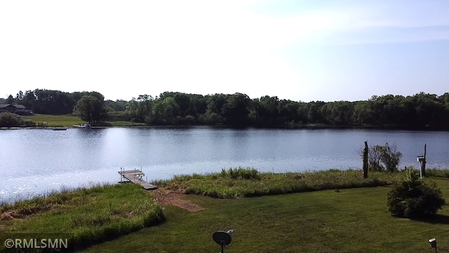 43639 351st Ln, Aitkin Twp, MN 56431 - water view with a heavily wooded area