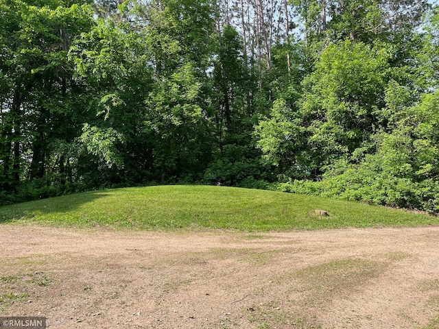 43639 351st Ln, Aitkin Twp, MN 56431 - view of grassy yard