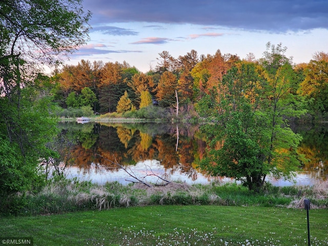 43639 351st Ln, Aitkin Twp, MN 56431 - water view featuring a forest