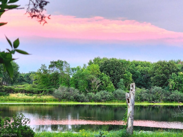 43639 351st Ln, Aitkin Twp, MN 56431 - water view featuring a heavily wooded area