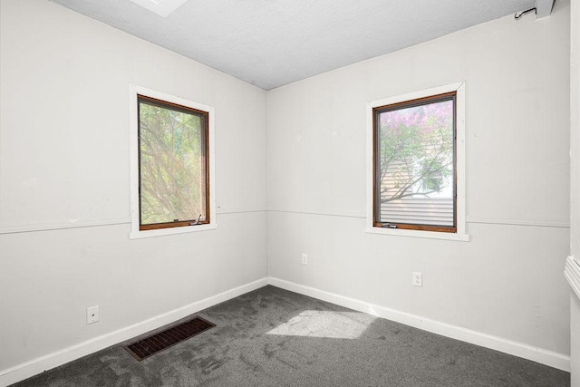 627 Skyline Pkwy, Duluth, MN 55805 - carpeted spare room featuring plenty of natural light, baseboards, and a textured ceiling