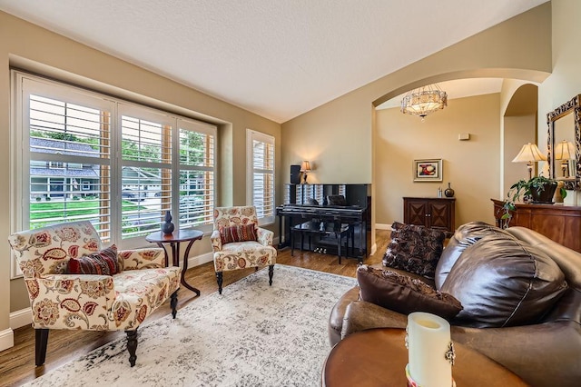 9025 Mcguffey Rd, Eden Prairie, MN 55347 - living area with arched walkways, vaulted ceiling, wood finished floors, and a chandelier