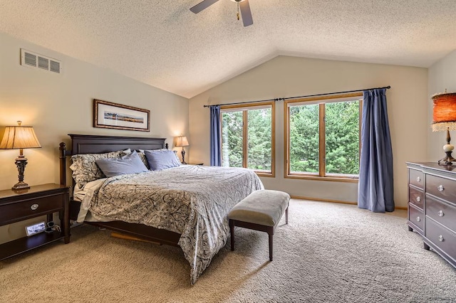 9025 Mcguffey Rd, Eden Prairie, MN 55347 - bedroom with lofted ceiling, light carpet, ceiling fan, and a textured ceiling