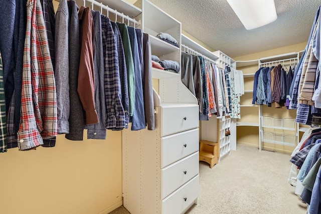 9025 Mcguffey Rd, Eden Prairie, MN 55347 - spacious closet featuring carpet floors