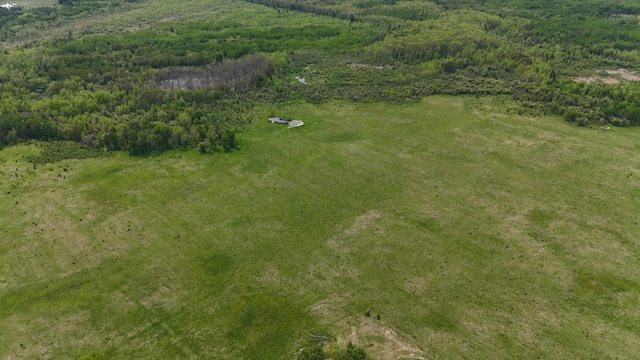 TBD Highway 65, Littlefork, MN 56653