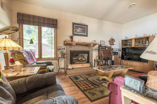17159 Stalker Lake Rd, Battle Lake, MN 56515 - living room featuring wood finished floors and a tiled fireplace