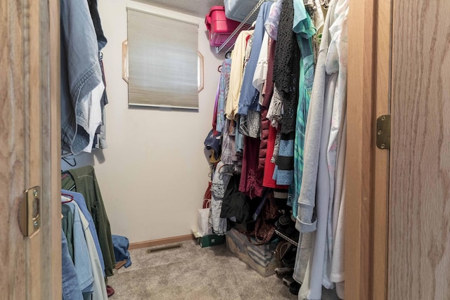 17159 Stalker Lake Rd, Battle Lake, MN 56515 - walk in closet featuring carpet