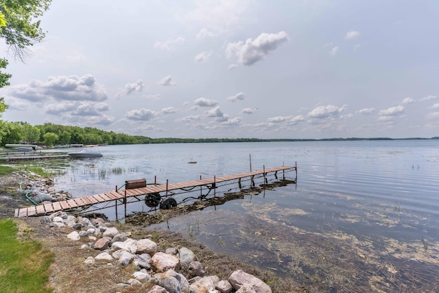 17159 Stalker Lake Rd, Battle Lake, MN 56515 - dock area with a water view