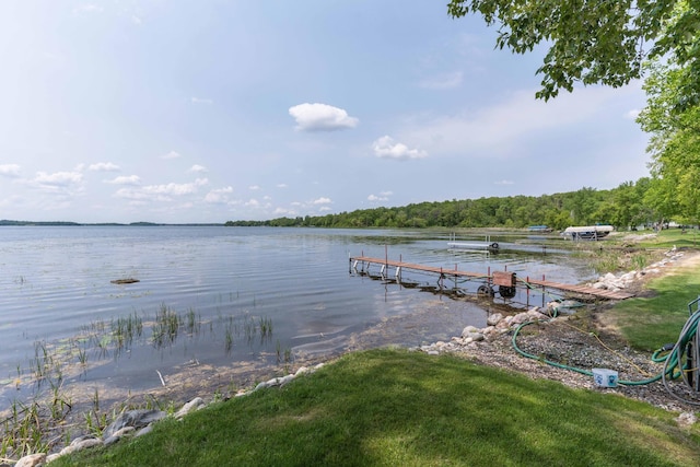17159 Stalker Lake Rd, Battle Lake, MN 56515 - dock with a water view and a wooded view