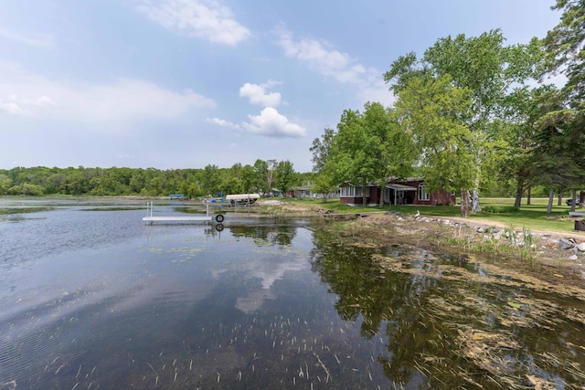 17159 Stalker Lake Rd, Battle Lake, MN 56515 - water view featuring a dock and a forest