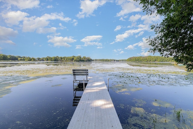 6269 85th St NW, Corinna Twp, MN 55358 - dock featuring a water view