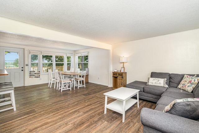 6269 85th St NW, Corinna Twp, MN 55358 - living room with wood finished floors, a textured ceiling, and baseboards