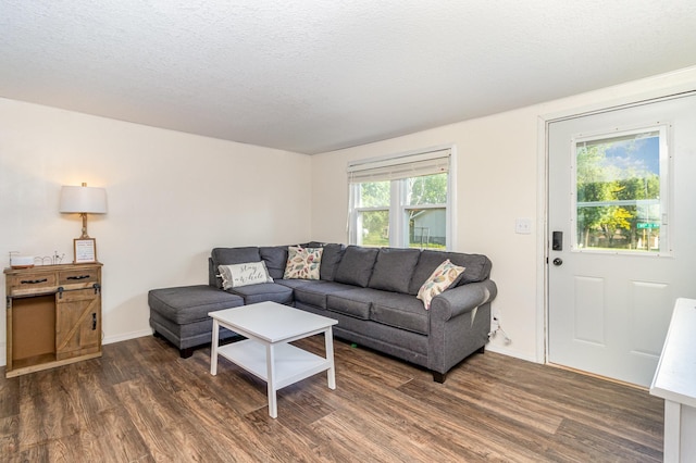 6269 85th St NW, Corinna Twp, MN 55358 - living room featuring wood finished floors and a textured ceiling