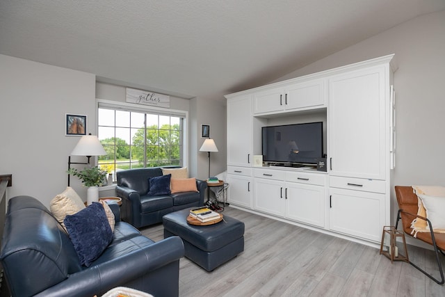 3900 Orchardview Ln NW, Rochester, MN 55901 - living room featuring light wood-type flooring and lofted ceiling