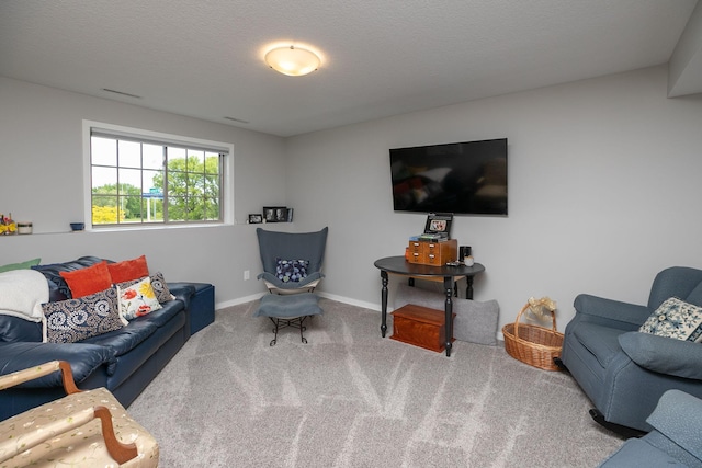 3900 Orchardview Ln NW, Rochester, MN 55901 - living area with carpet and baseboards