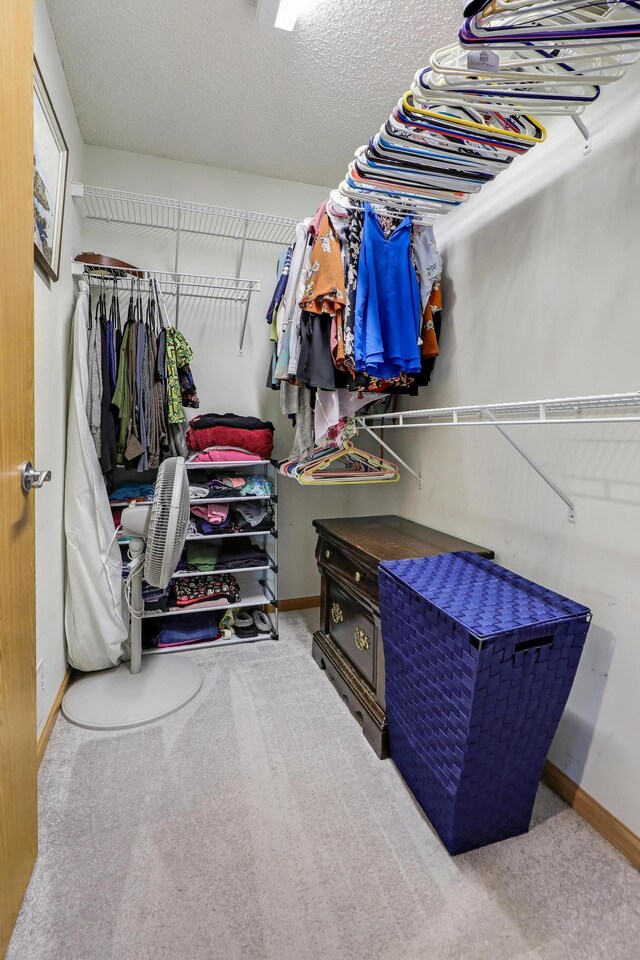 1704 Talon Trl, Eagan, MN 55122 - spacious closet with carpet flooring
