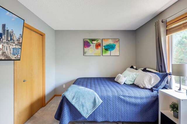 1704 Talon Trl, Eagan, MN 55122 - carpeted bedroom with baseboards