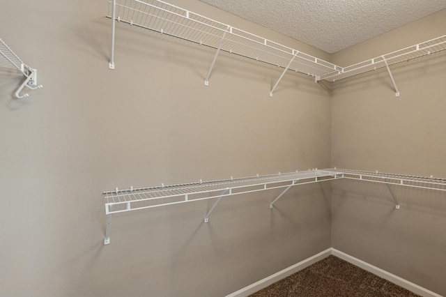 711 Eagle Ct, Lino Lakes, MN 55014 - photo 37