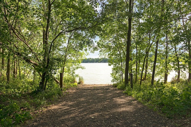 711 Eagle Ct, Lino Lakes, MN 55014 - photo 48