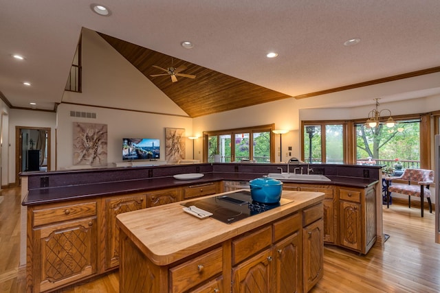 17 Oriole Pl, North Mankato, MN 56003 - kitchen with a center island, black electric stovetop, a sink, butcher block counters, and brown cabinetry