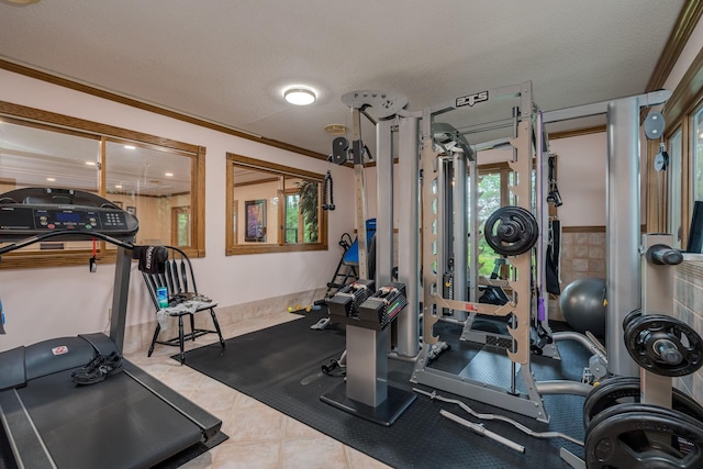 17 Oriole Pl, North Mankato, MN 56003 - workout area featuring crown molding