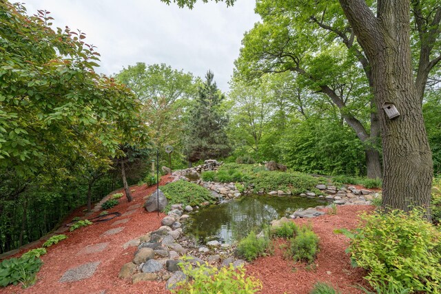 17 Oriole Pl, North Mankato, MN 56003 - view of yard