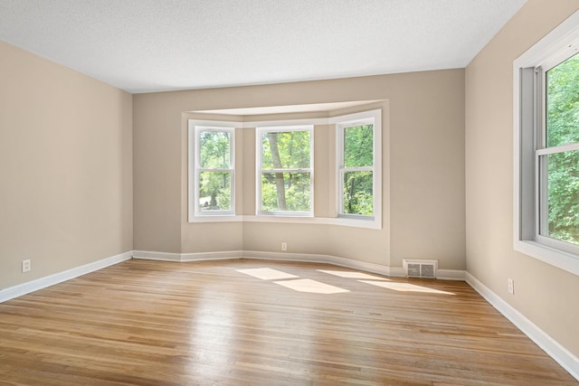 11600 Timberline Rd, Minnetonka, MN 55305 - empty room with light wood-style flooring and baseboards