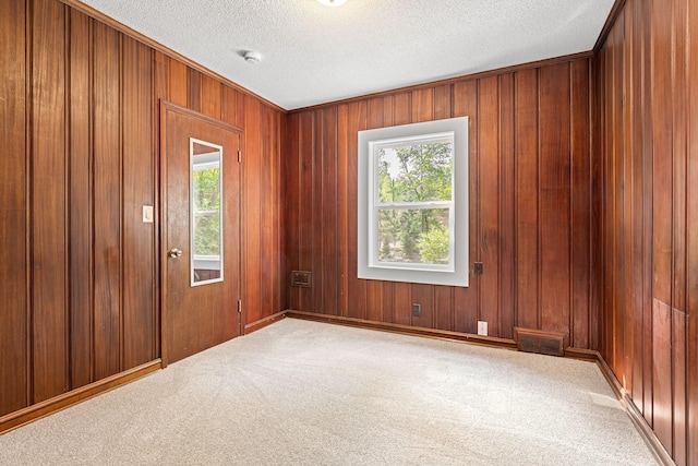 11600 Timberline Rd, Minnetonka, MN 55305 - spare room with carpet floors, a textured ceiling, a smoke detector, and wood walls
