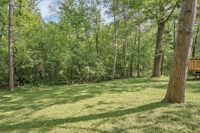 11600 Timberline Rd, Minnetonka, MN 55305 - view of grassy yard featuring a forest view