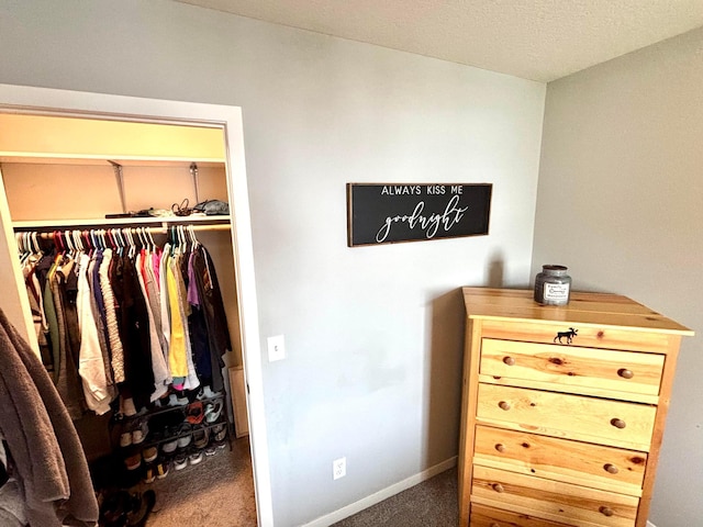 1020 7th Ave NW, Rice, MN 56367 - carpeted bedroom with a closet and baseboards