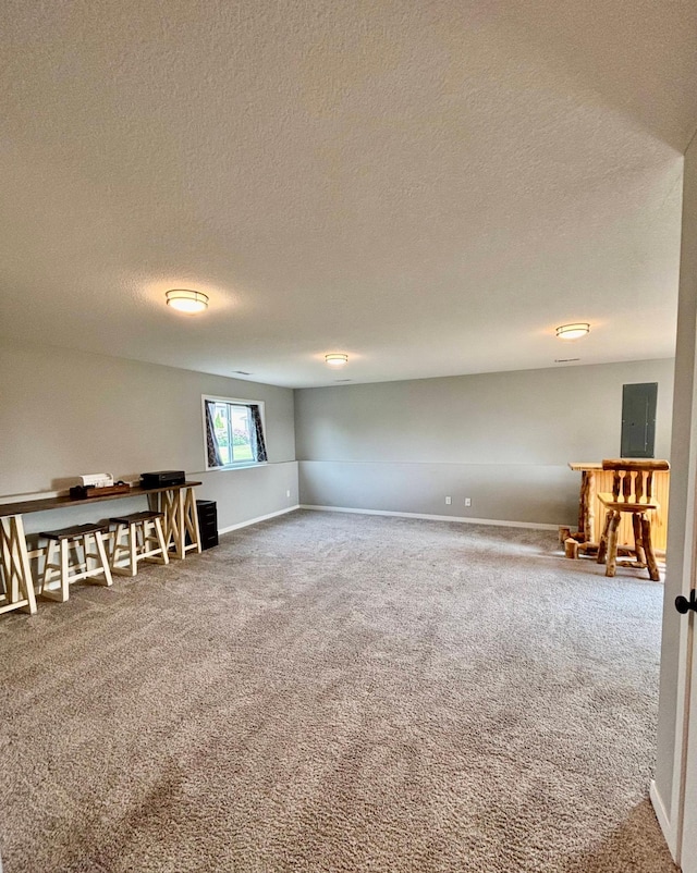 1020 7th Ave NW, Rice, MN 56367 - carpeted spare room with electric panel, a textured ceiling, and baseboards