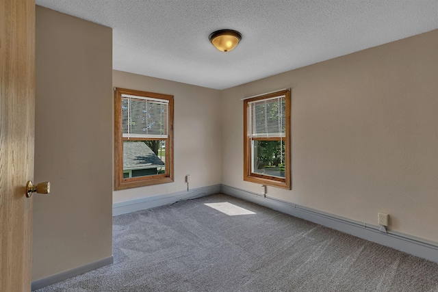 821 Holcombe Ave, Litchfield, MN 55355 - photo 13