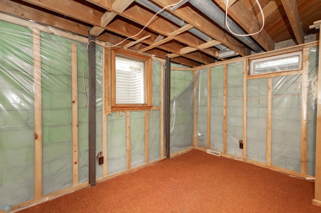 1633 1st St N, Fargo, ND 58102 - below grade area with carpet floors