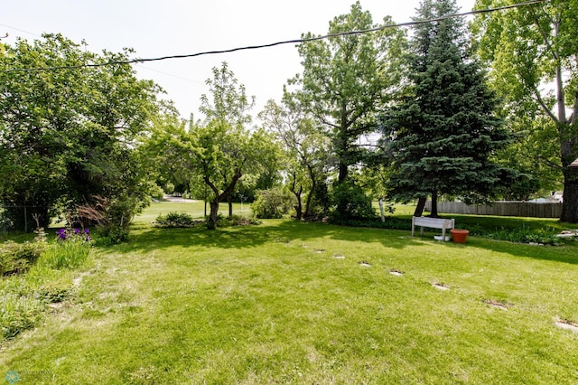 1633 1st St N, Fargo, ND 58102 - view of yard