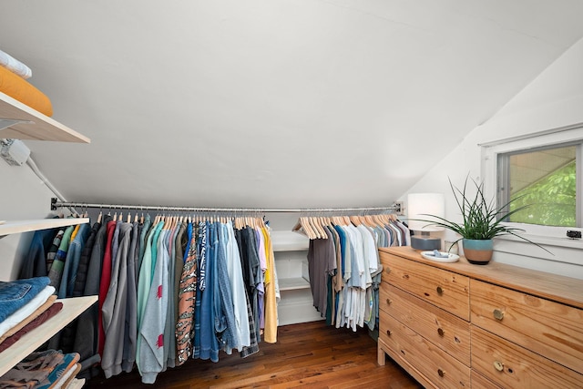 1144 Abell St, Saint Paul, MN 55117 - spacious closet with lofted ceiling and wood finished floors